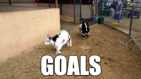 Goat jumping with GOALS subtext