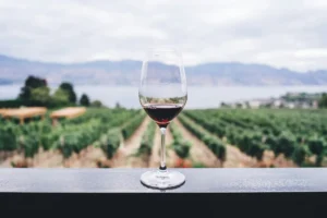 Trade tariffs pop the cork on Canadian wine boom