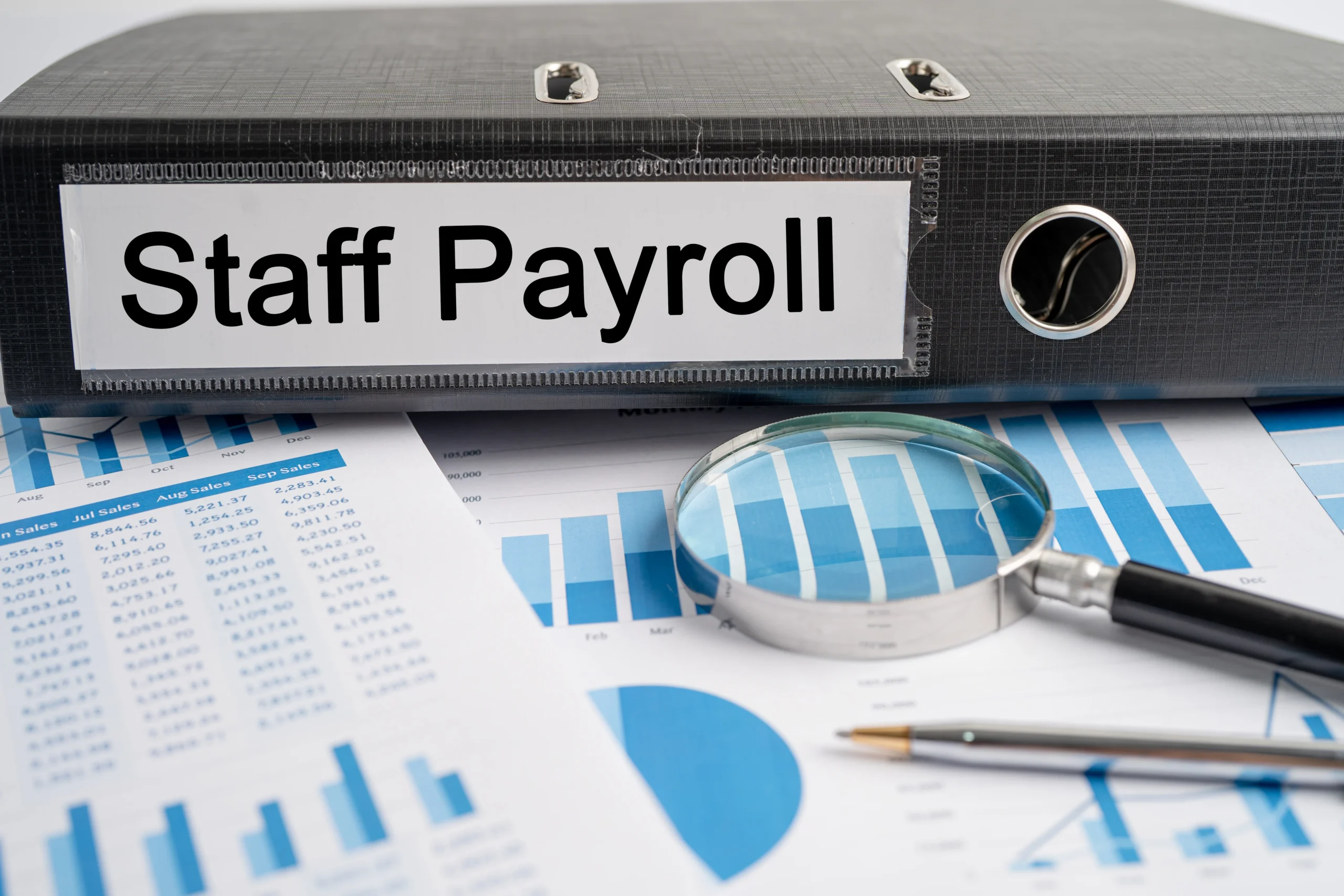 Staff Payroll. Binder Data Finance Report Business with Graph