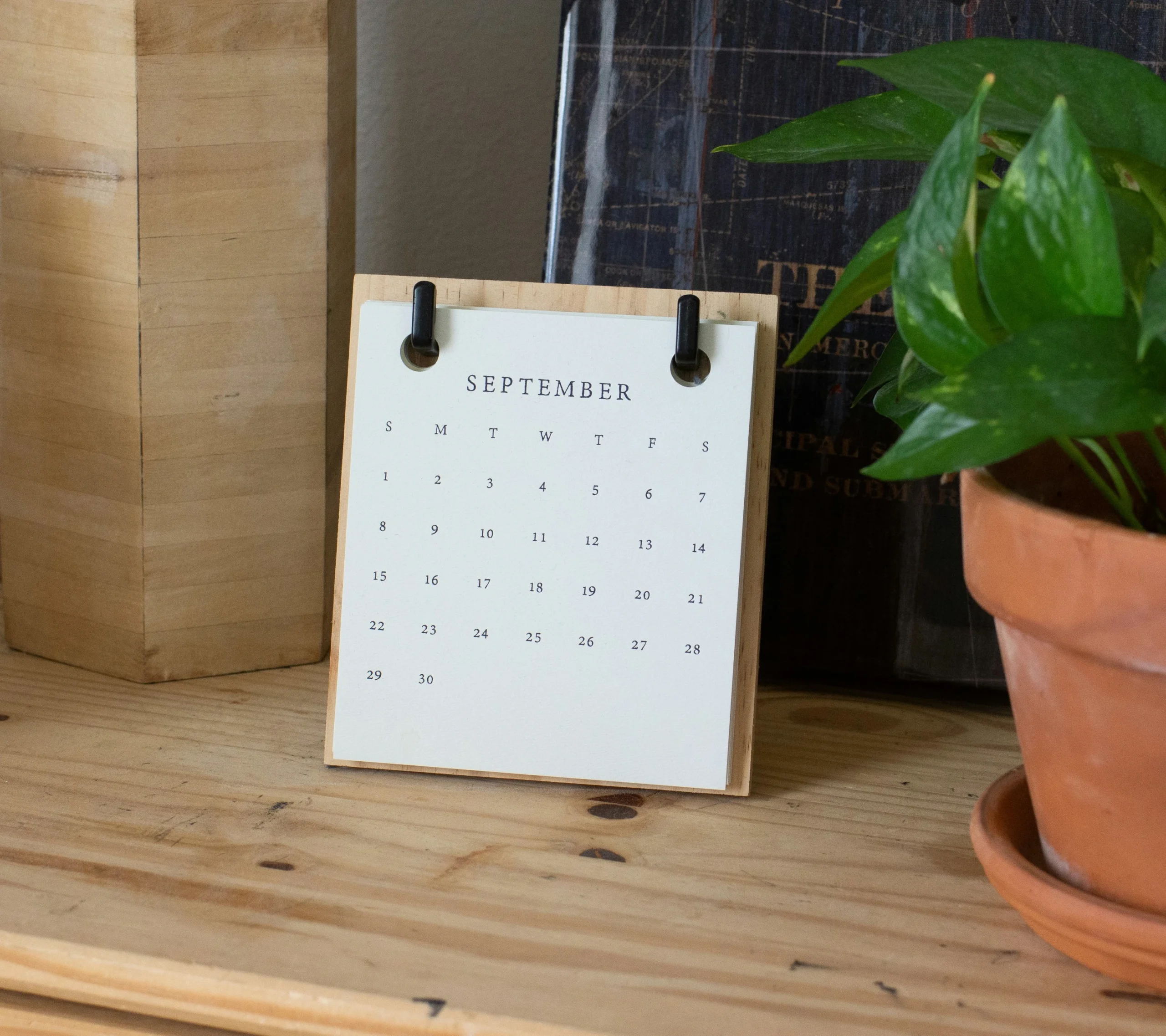 Close-up of a small September desk calendar on a wooden surface beside a green potted plant, representing planning and scheduling statutory holidays.