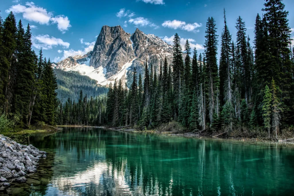 Lush green evergreen pine forest frames a clear, vibrant turquoise mountain lake reflecting dramatic snow-covered alpine peaks above.