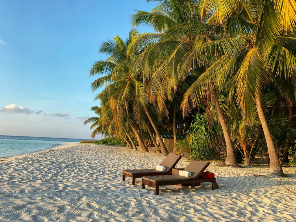 Two empty wooden lounge chairs sit on a white sandy beach under tropical palm trees facing a clear turquoise ocean horizon.