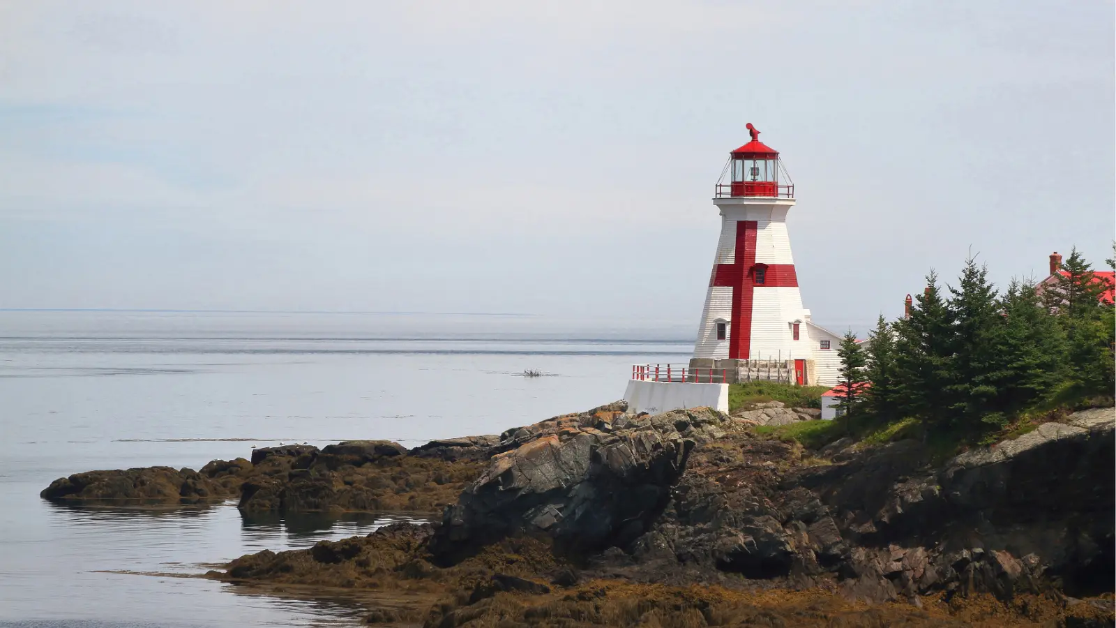 New Brunswick employment standards: a guide for employers