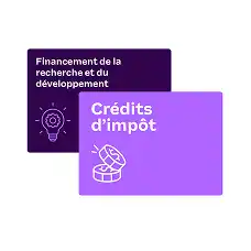 Purple and white text boxes on a white background. "Aide d'experts" with a chat icon, and "Conformité et représentation" with a document icon.