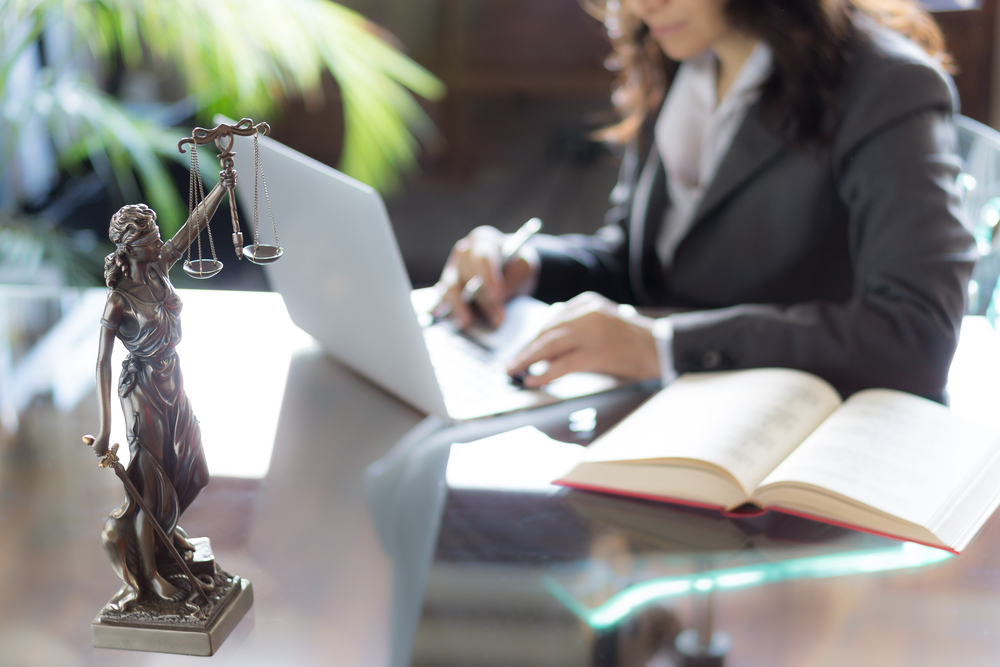 Female lawyer working in office