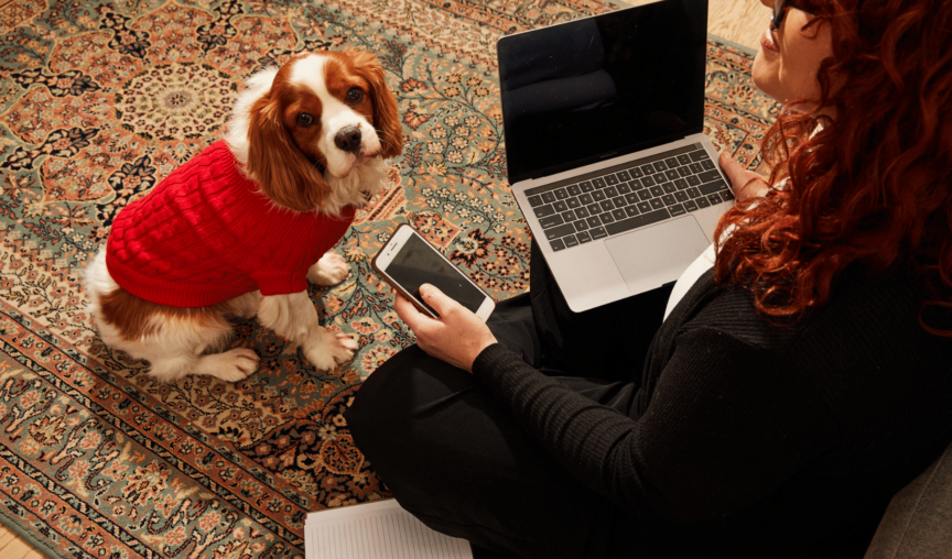 Dog in red sweater sitting next to woman working on laptop