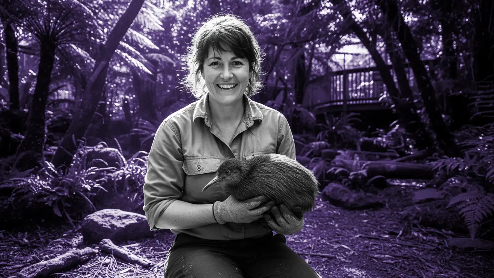 Weird And Wild Jobs In Nz That Are Hiring Right Now