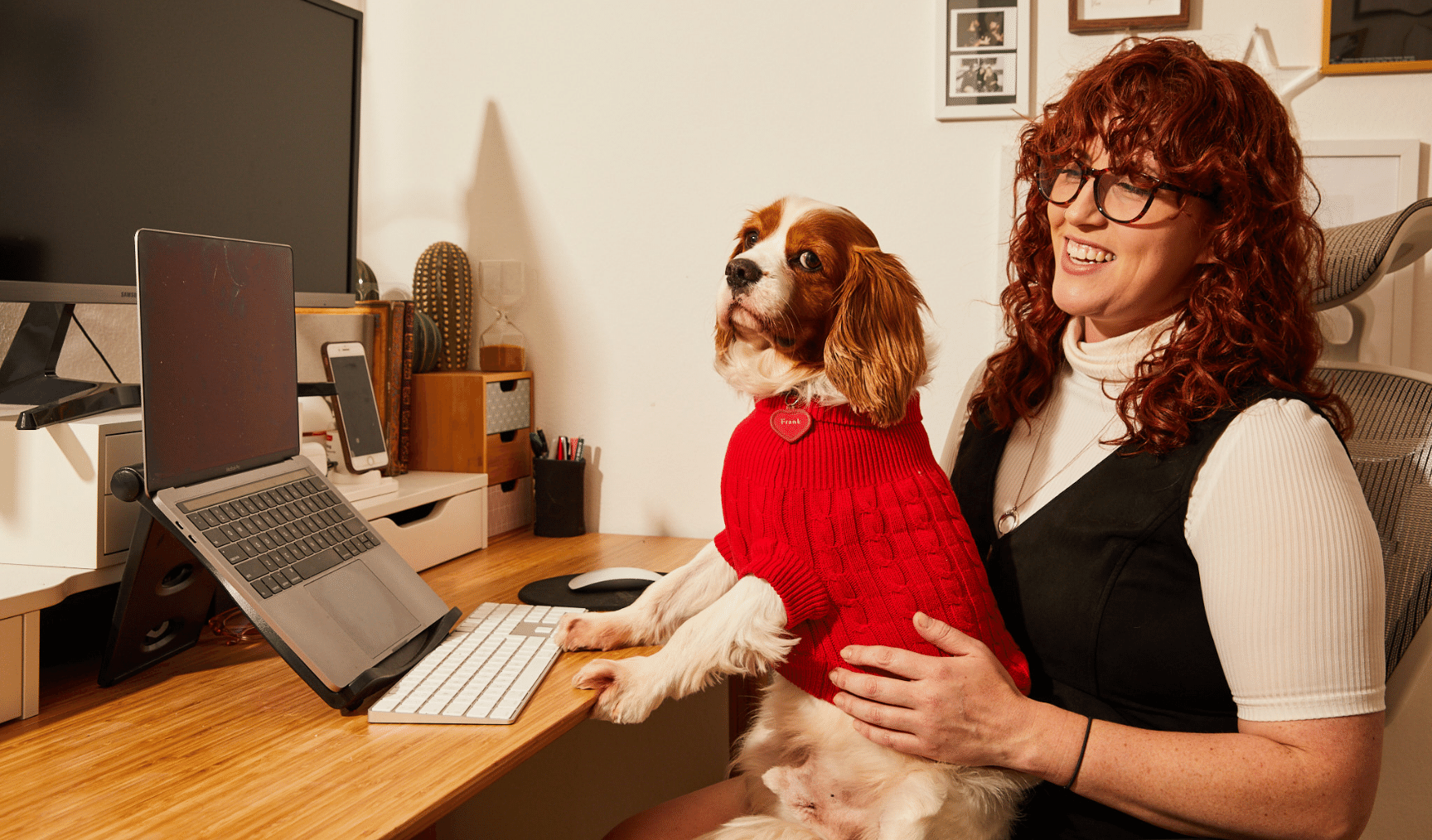 Woman working at home desk with dog in red vest