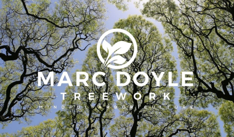 Employment Hero Streamlines Safety Compliance For Marc Doyle Treework