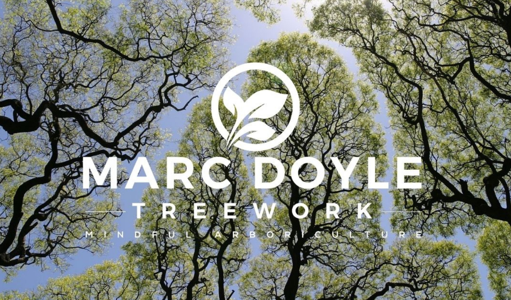 Mark Doyle case study
