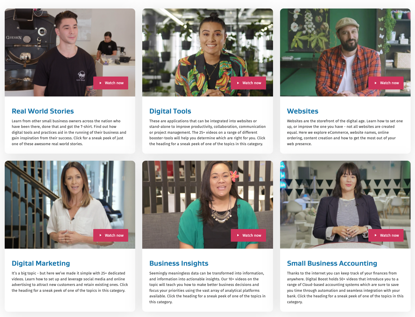 Digital Boost Programme