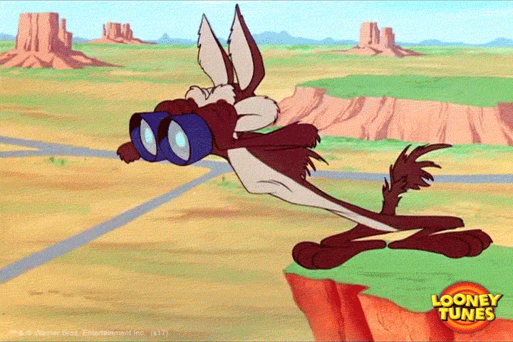 Gif of cartoon coyote searching the wilderness with a pair of binoculars