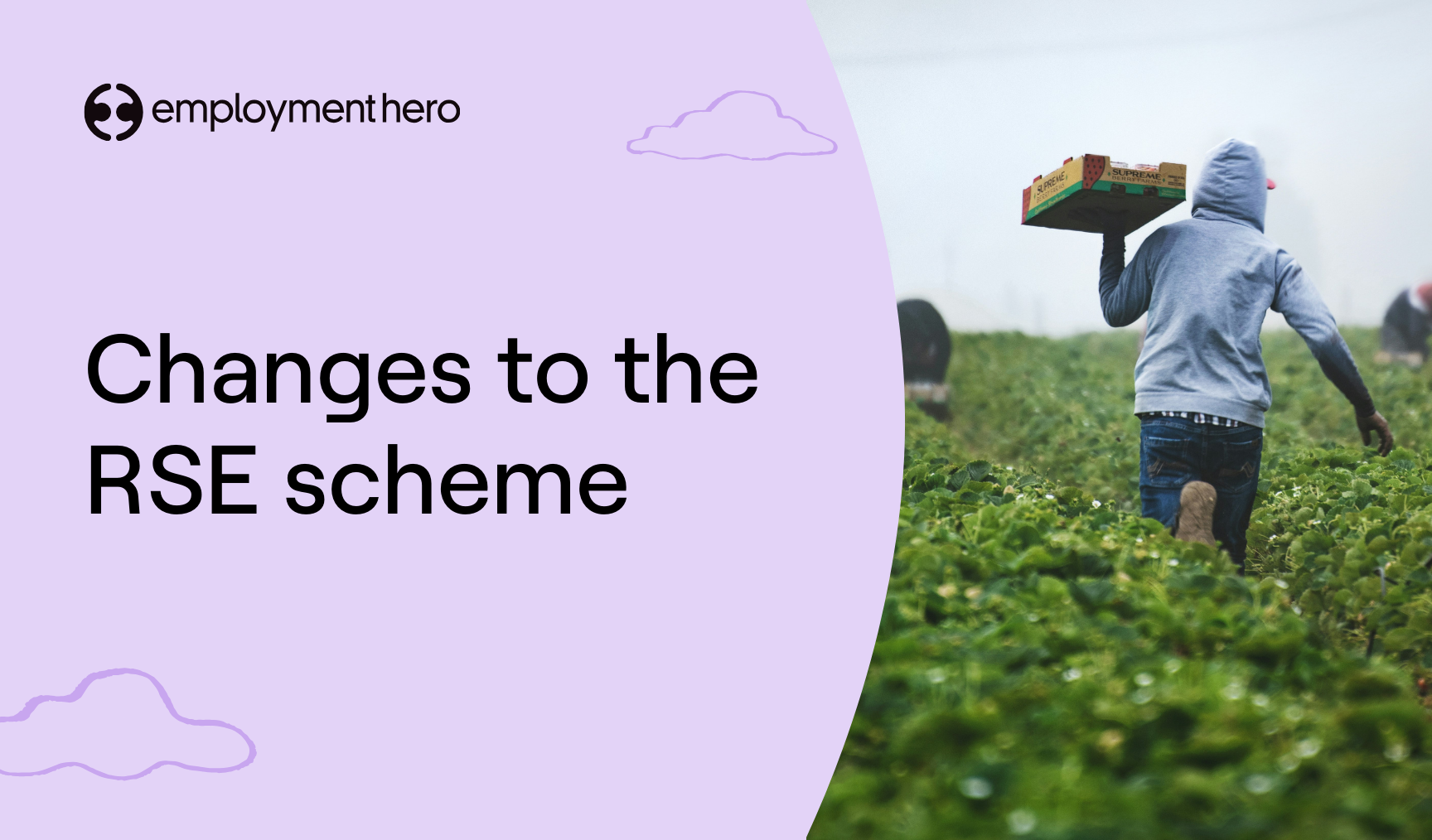 Changes to the RSE Scheme: What seasonal employers need to know