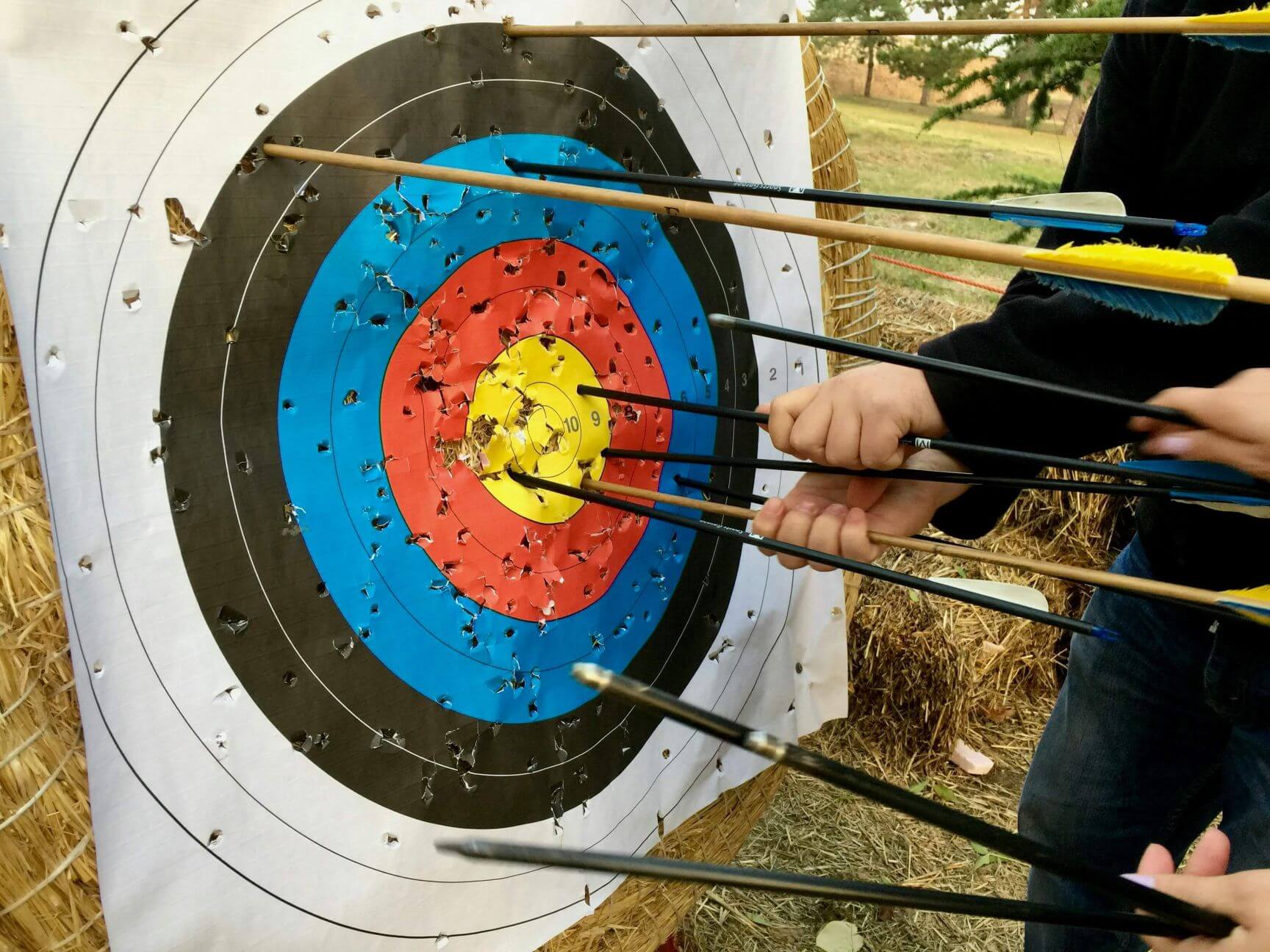 archery board with arrows embedded