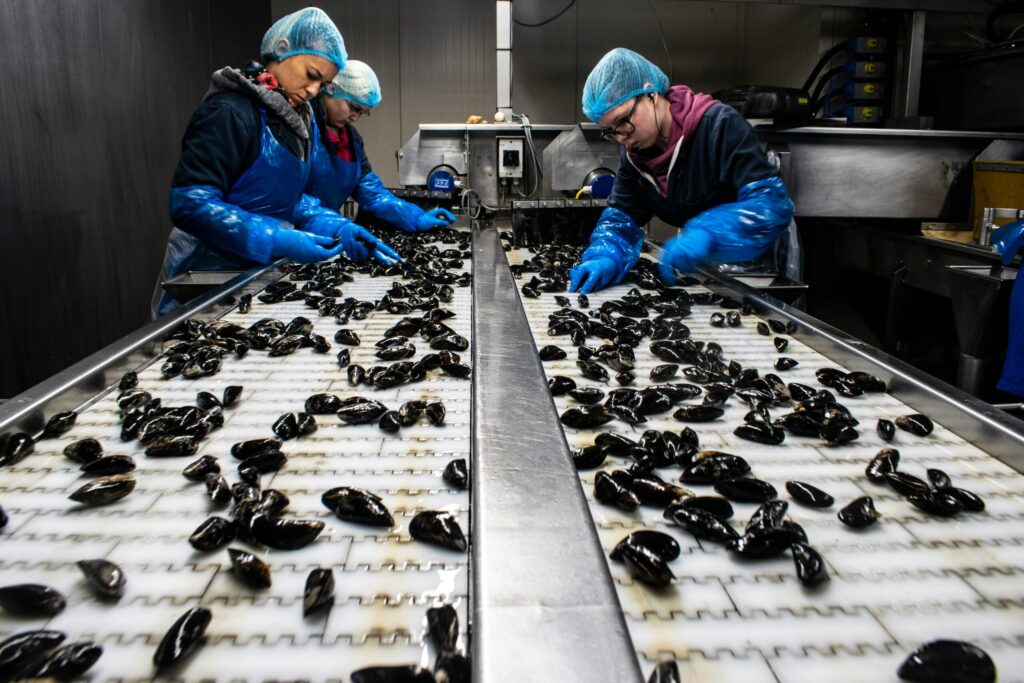 manufacturing workers wearing PPE while working on conveyor belt with food products.