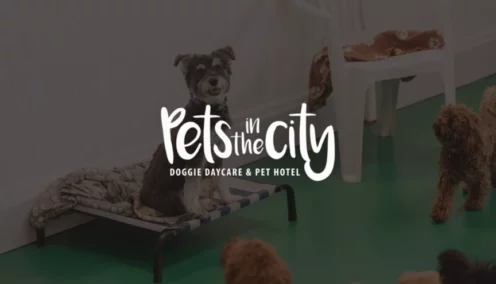 Paws, pay, and performance: The franchise-ready payroll system behind Pets in the City’s growth