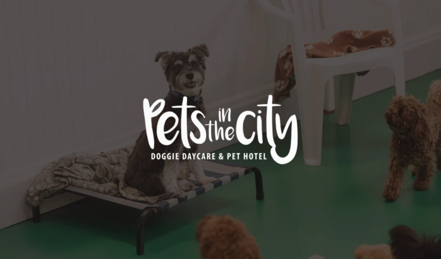 Paws, pay, and performance: The franchise-ready payroll system behind Pets in the City’s growth