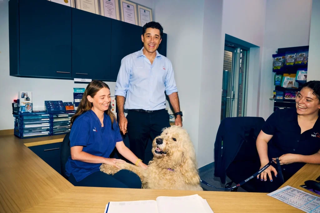 Veterinary staff smiling and interacting with a happy dog at the front desk of a clinic.