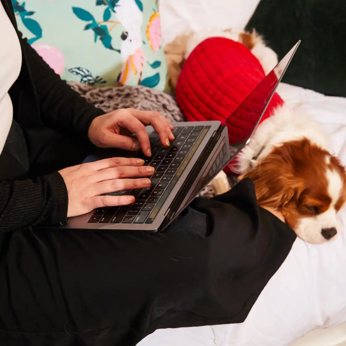 A person types on a laptop while sitting on a bed. A small dog, wearing a red sweater, sleeps beside them. The setting appears cozy and relaxed.