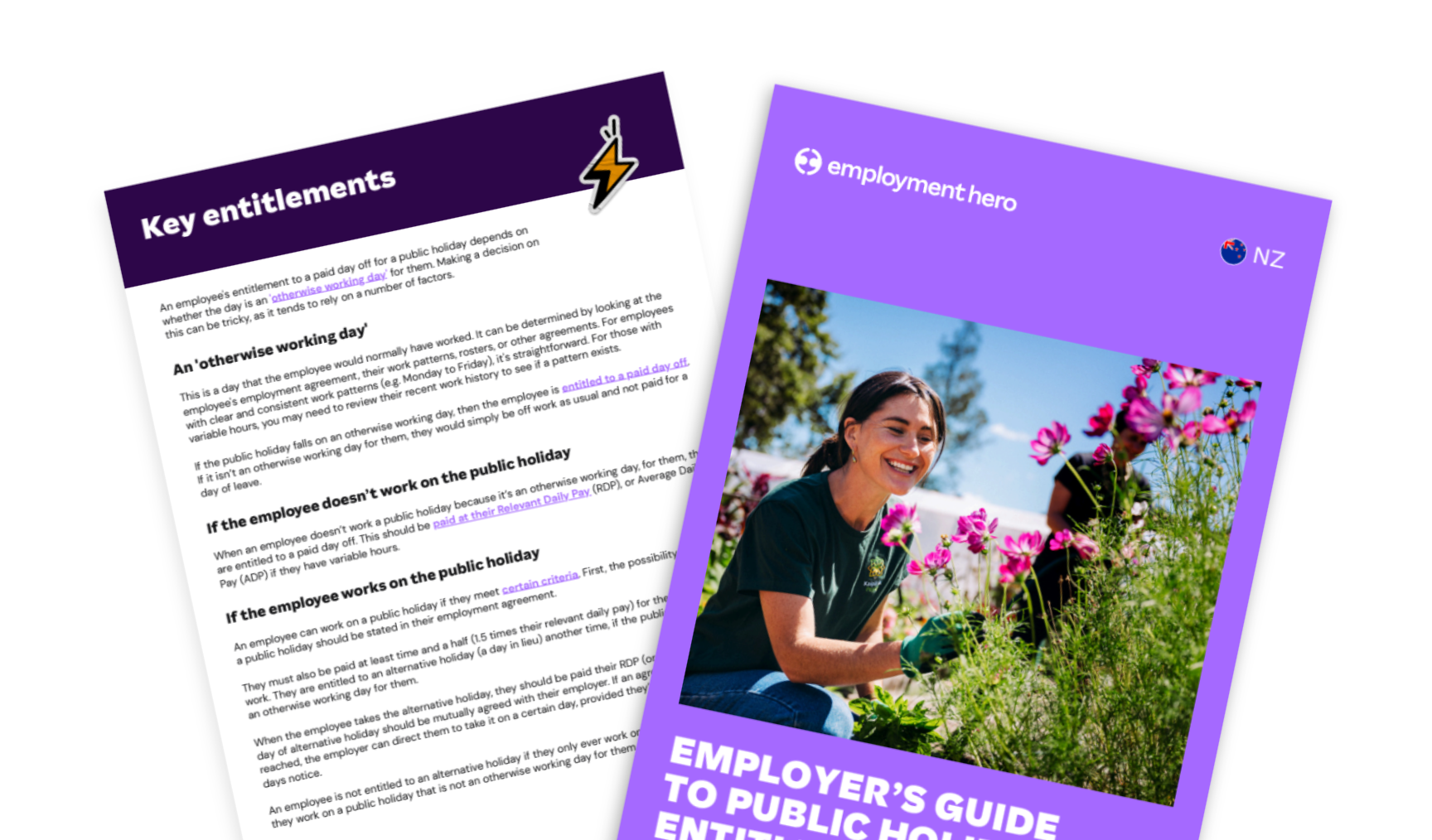 Public holiday entitlements in New Zealand: Employer factsheet