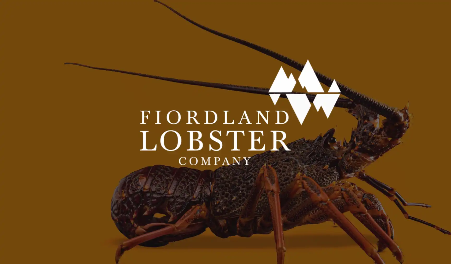 How Employment Hero reeled in HR efficiencies for Fiordland Lobster Company