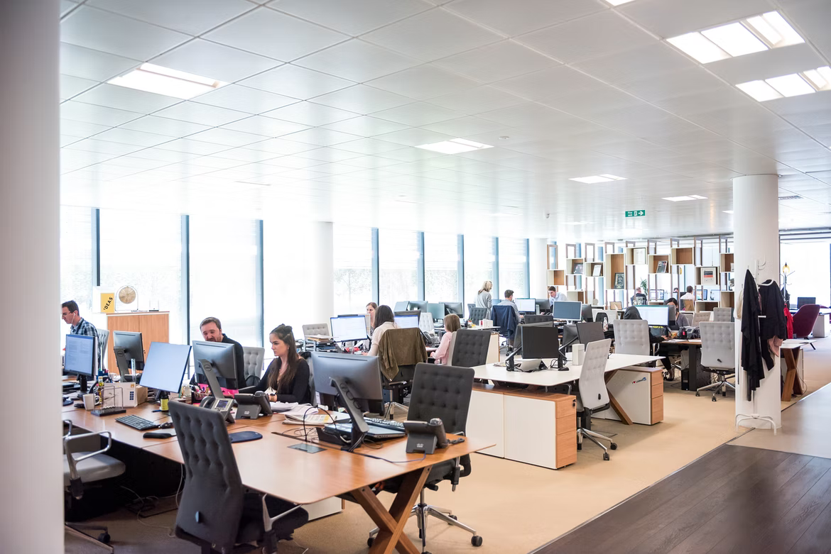 employees working in an office