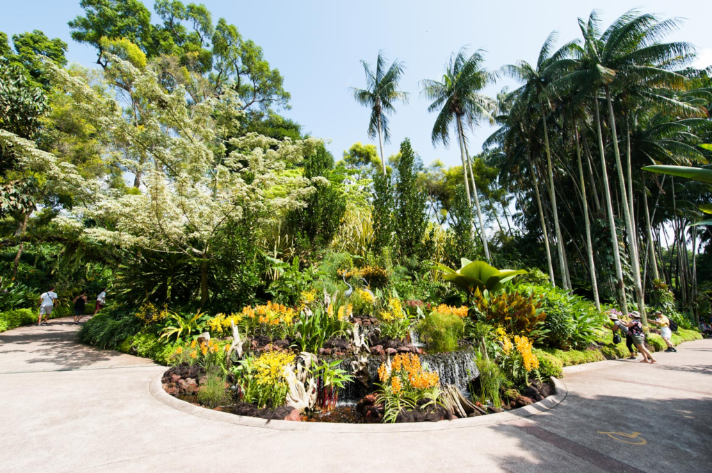 Lush grounds of the Singapore Botanic Gardens
