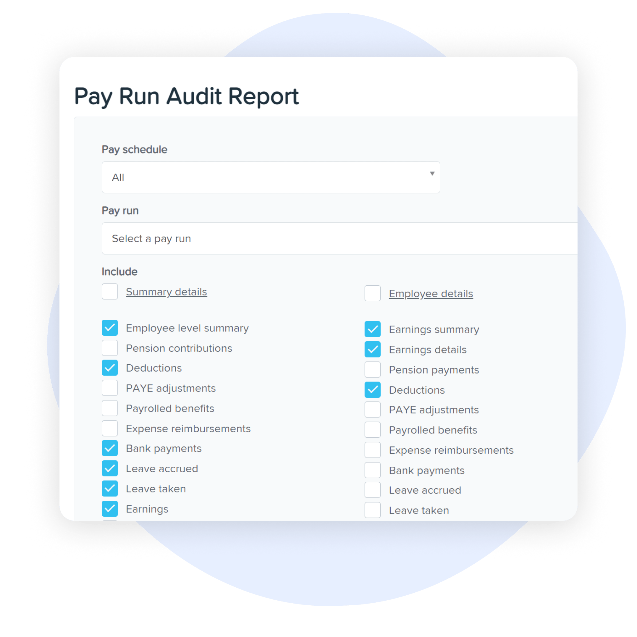 Pay run audit report interface