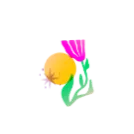 tulip flower with golden sun and sparkles graphic