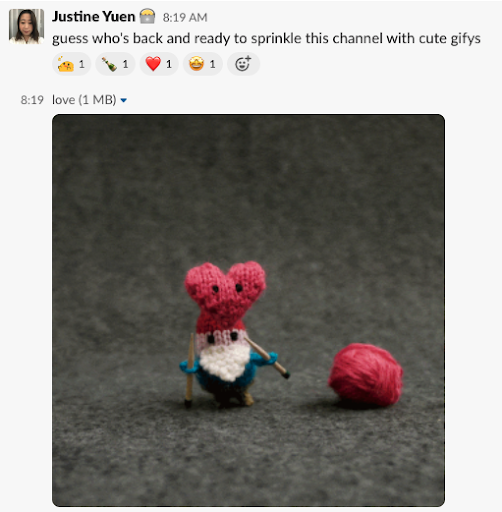 Slack's built in Gify function is a lot of fun