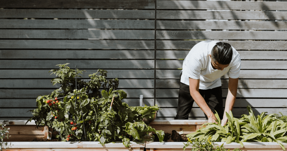 What is gardening leave, and is it a good idea?