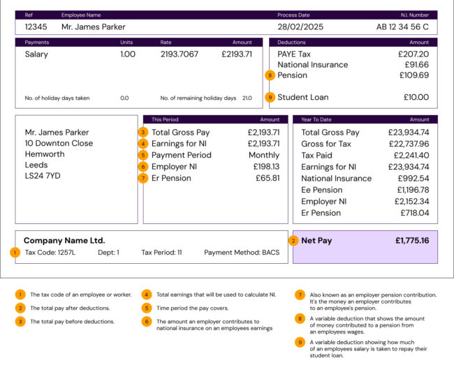 Payslip Explained: Employment Hero payslip