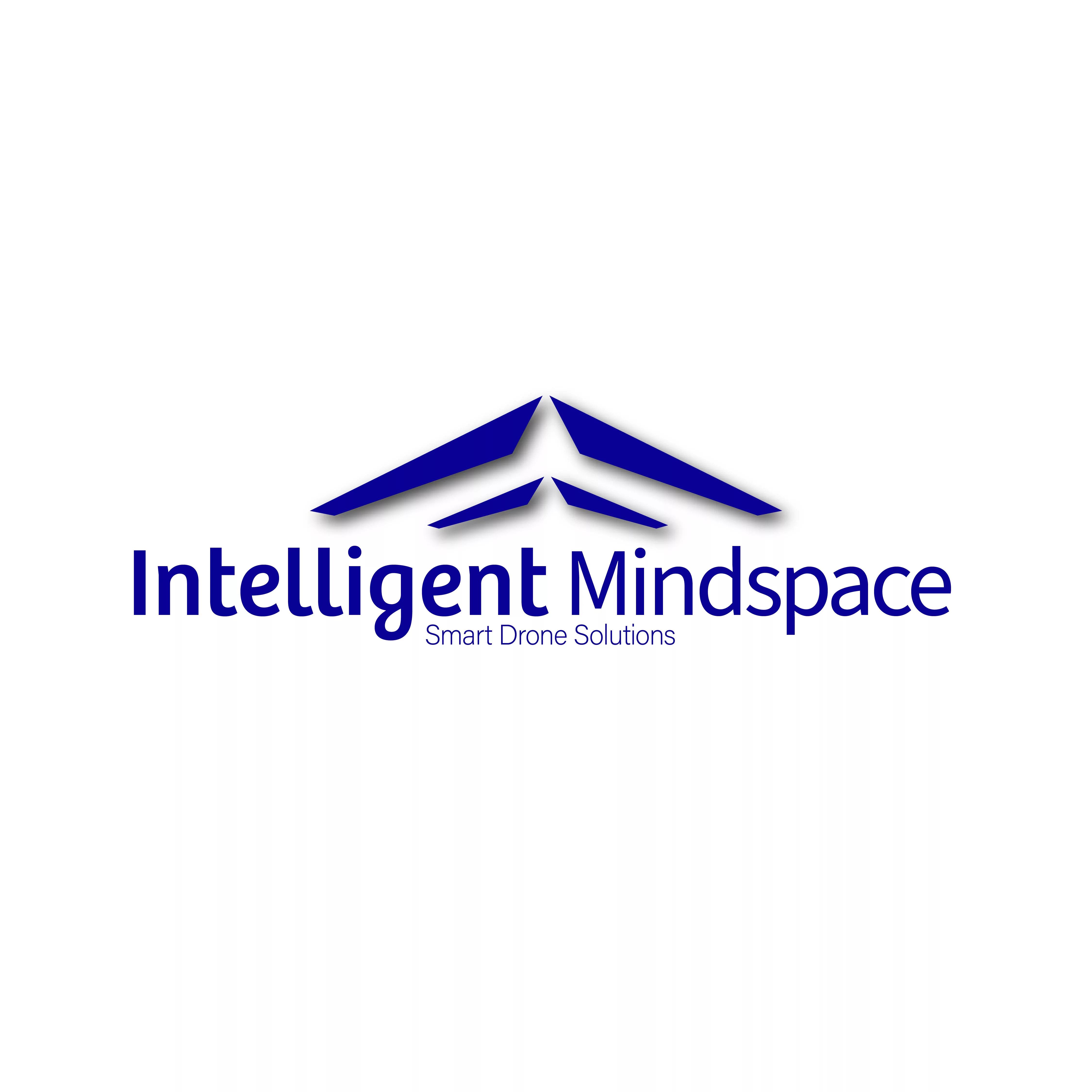 Intelligent Mindspace