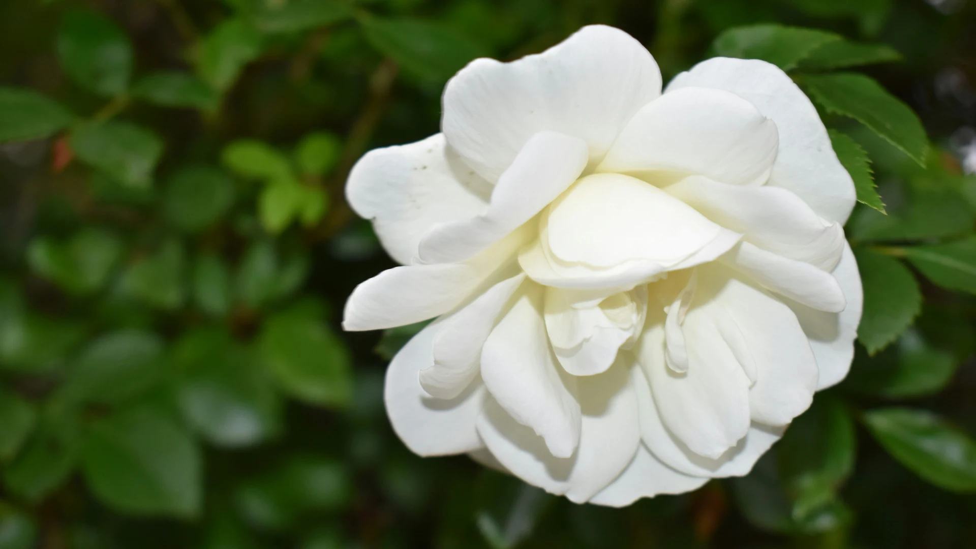 Parental bereavement leave: A guide for UK employers