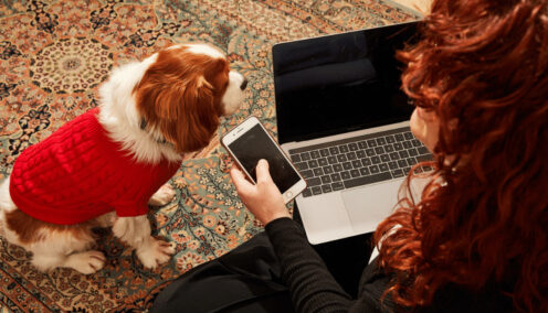 image of a woman with a laptop and phone sitting beside a dog - hr technology 2021