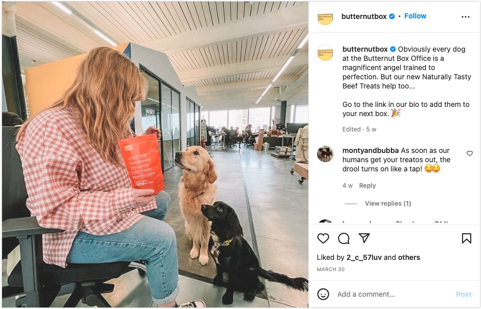 Butternut Box Instagram office dogs eating treats