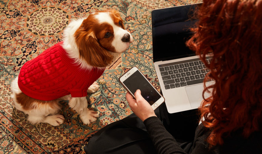 Back of a woman's head with red curls with a laptop, holding a phone and a cute dog sat next to her - 7 ways Employment Hero can help you retain top talent