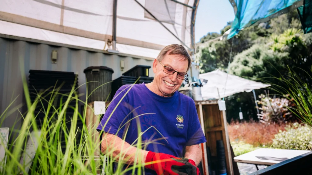 A smiling older man wearing glasses, a purple t-shirt with a "Kaipātiki Project" logo, and red gardening gloves tends to tall green plants. He is working outdoors under a partially covered greenhouse structure with a grey shipping container, various gardening supplies, and trees in the background.