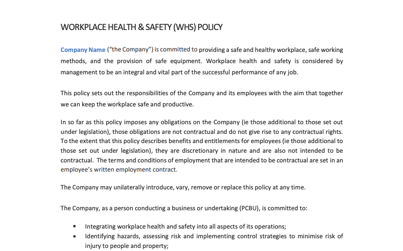 Snippet of the downloadable WHS policy