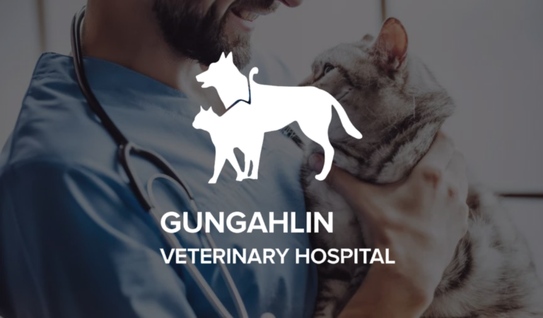 Increased Flexibility and Confidence for Gungahlin Vet
