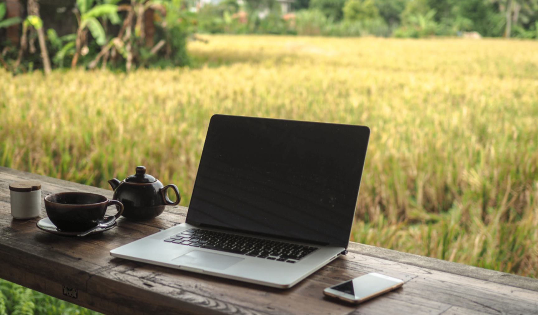 Laptop and teapot on a table in front of a field