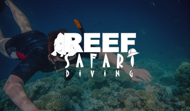 Reef Safari Diving manages onboarding and training with Employment Hero