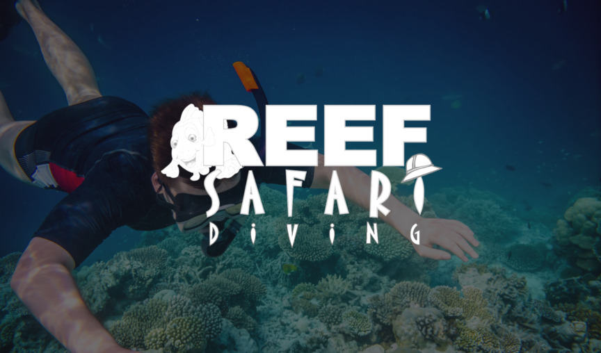 Reef Safari Diving - Case Study