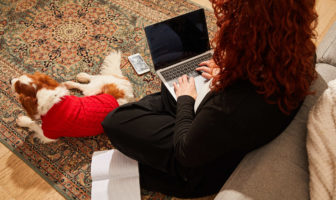 Woman working on a laptop with a dog in a red jumper