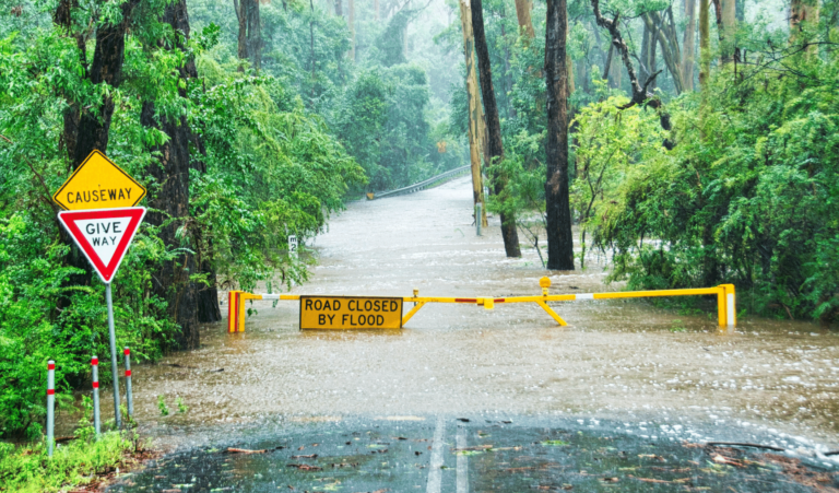 Finding business resources and supporting your team during the flood disaster