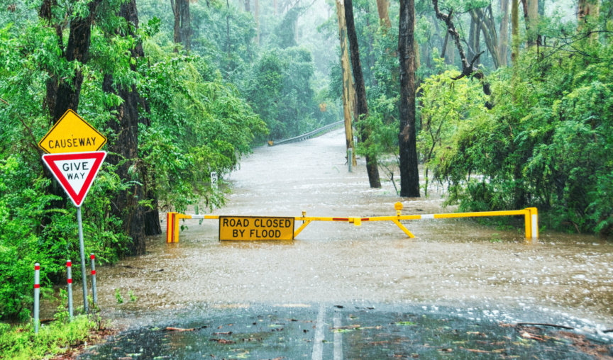 Flooded road in Australian forest