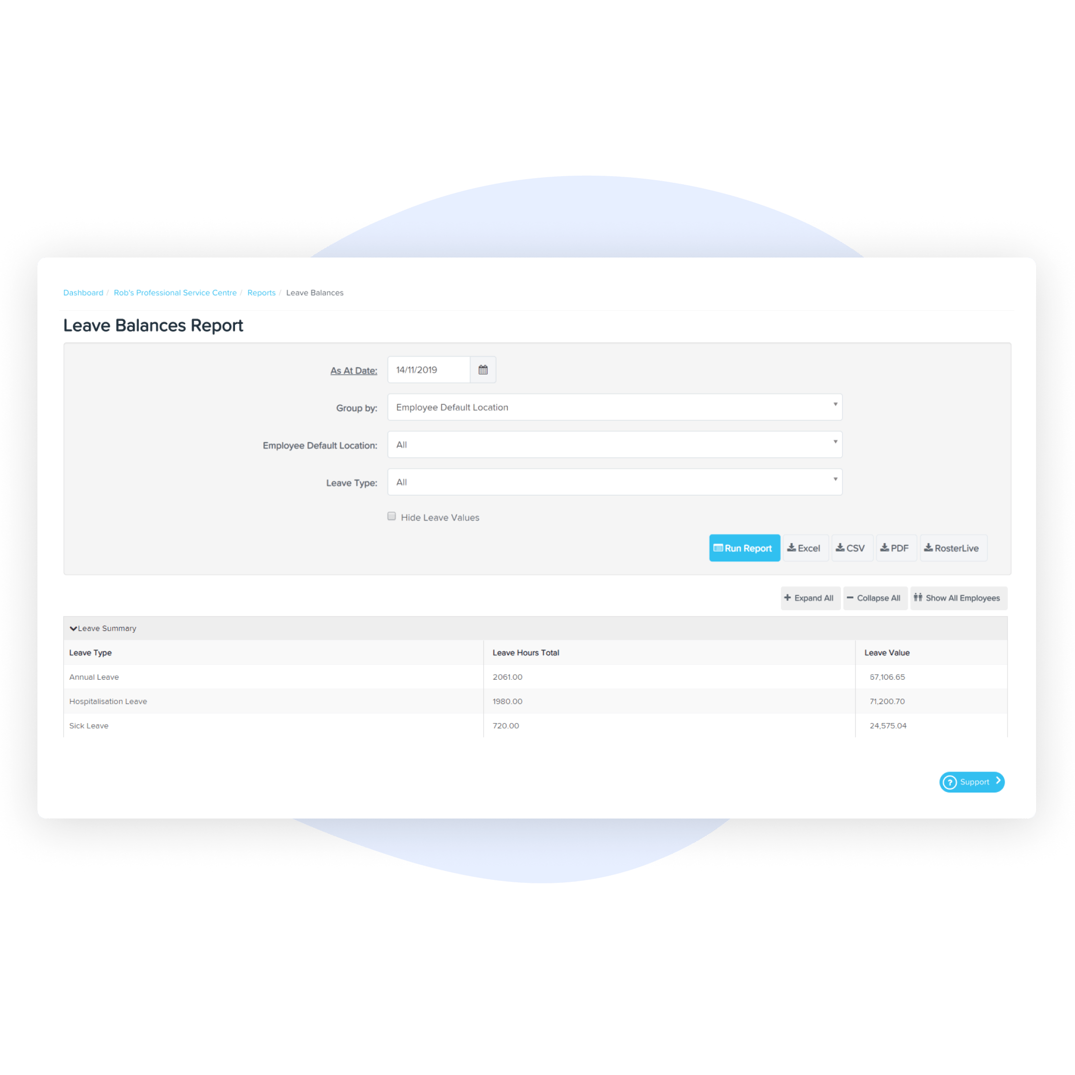 An image depicting a Leave Balances Report interface. It displays various fields such as date range, employee location, and leave type filters, with a button labeled "Filter Report."