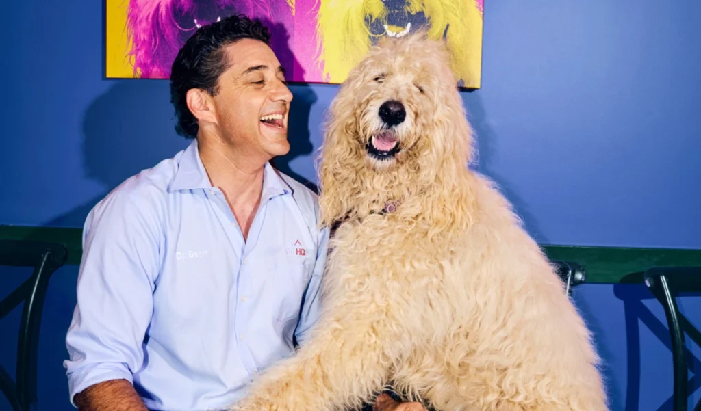 Team member interacting positively with a dog in a relaxed workplace setting, promoting a supportive environment to reduce psychosocial hazards.