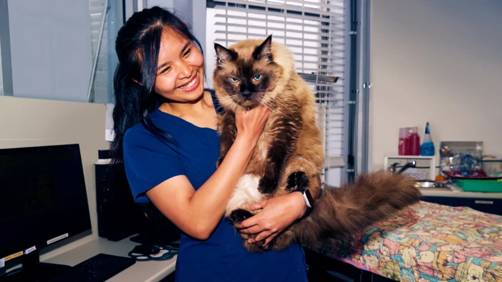 Woman holding up a cat