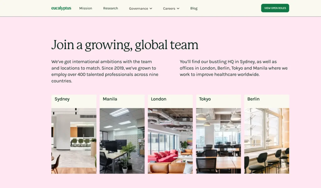 Eucalyptus career page